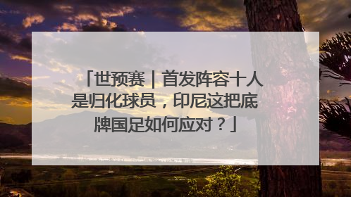 世预赛｜首发阵容十人是归化球员，印尼这把底牌国足如何应对？