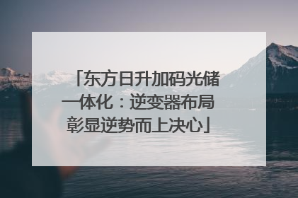 东方日升加码光储一体化：逆变器布局彰显逆势而上决心