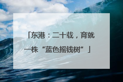 东港：二十载，育就一株“蓝色摇钱树”
