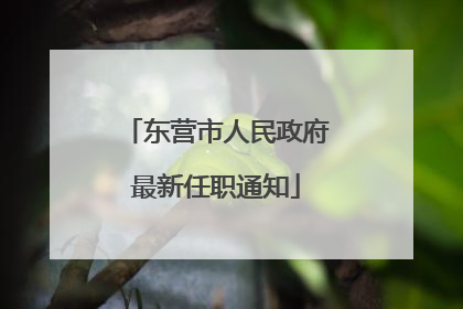 东营市人民政府最新任职通知