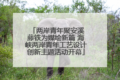 两岸青年聚安溪 藤铁为媒绘新篇 海峡两岸青年工艺设计创新主题活动开幕