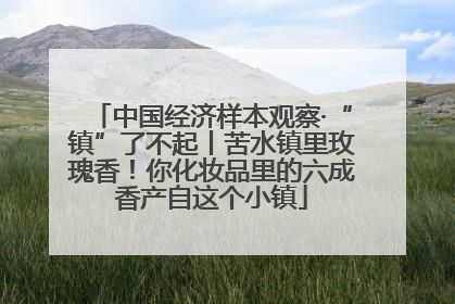 中国经济样本观察·“镇”了不起丨苦水镇里玫瑰香！你化妆品里的六成香产自这个小镇