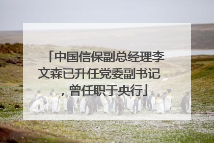 中国信保副总经理李文森已升任党委副书记，曾任职于央行