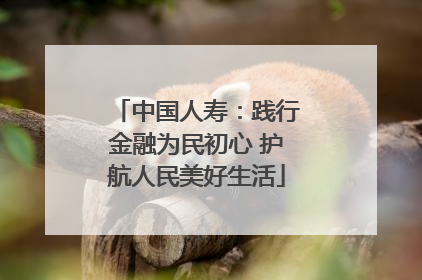 中国人寿：践行金融为民初心 护航人民美好生活
