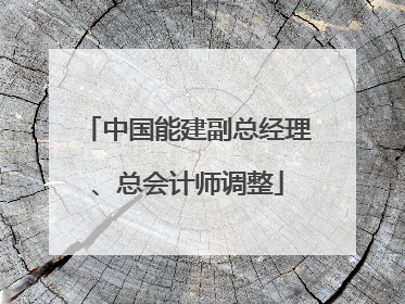 中国能建副总经理、总会计师调整