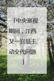 中央巡视期间，江西又一官员主动交代问题