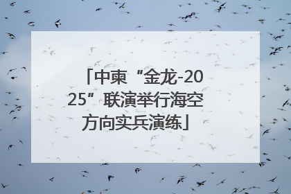 中柬“金龙-2025”联演举行海空方向实兵演练