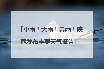 中雨！大雨！暴雨！陕西发布重要天气报告