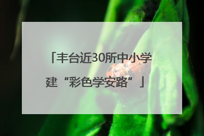 丰台近30所中小学建“彩色学安路”