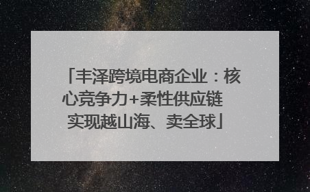 丰泽跨境电商企业：核心竞争力+柔性供应链 实现越山海、卖全球