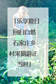 乐享夏日 回归自然 石家庄乡村采摘游正当时