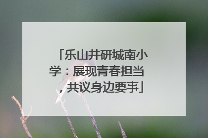 乐山井研城南小学：展现青春担当，共议身边要事