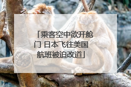 乘客空中欲开舱门 日本飞往美国航班被迫改道