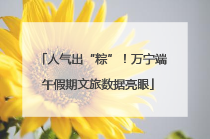 人气出“粽”！万宁端午假期文旅数据亮眼