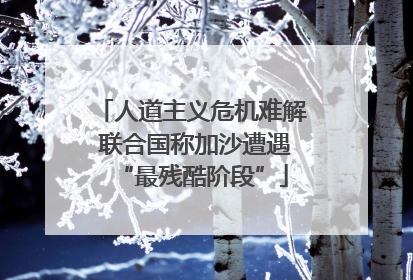 人道主义危机难解 联合国称加沙遭遇“最残酷阶段”