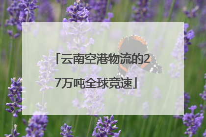 云南空港物流的27万吨全球竞速
