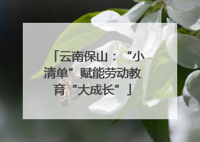 云南保山：“小清单”赋能劳动教育“大成长”