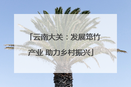 云南大关：发展筇竹产业 助力乡村振兴