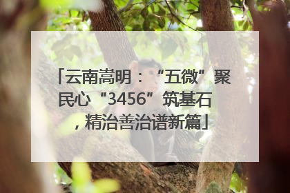 云南嵩明：“五微”聚民心“3456”筑基石，精治善治谱新篇