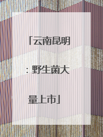 云南昆明：野生菌大量上市
