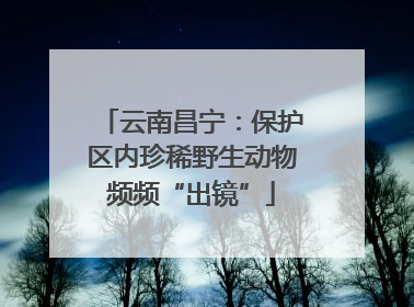 云南昌宁：保护区内珍稀野生动物频频“出镜”
