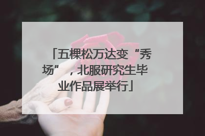 五棵松万达变“秀场”，北服研究生毕业作品展举行