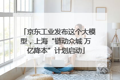 京东工业发布这个大模型，上海“链动众城 万亿降本”计划启动