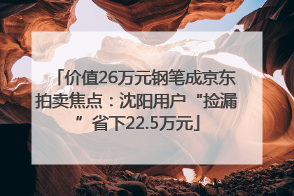 价值26万元钢笔成京东拍卖焦点：沈阳用户“捡漏”省下22.5万元