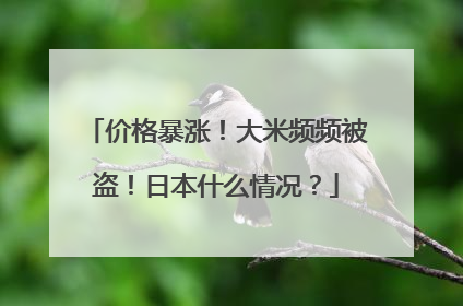 价格暴涨！大米频频被盗！日本什么情况？