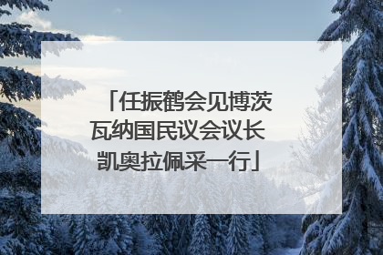 任振鹤会见博茨瓦纳国民议会议长凯奥拉佩采一行