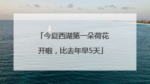 今夏西湖第一朵荷花开啦，比去年早5天
