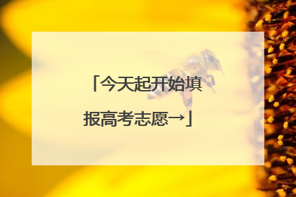 今天起开始填报高考志愿→