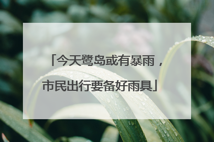 今天鹭岛或有暴雨，市民出行要备好雨具