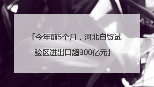 今年前5个月，河北自贸试验区进出口超300亿元