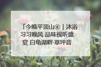 今晚平顶山⑧｜沐浴习习晚风 品味视听盛宴 白龟湖畔·草坪音乐会激情上演