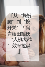 从“挽裤腿”到“按开关”！高青稻田插秧“人机大战”效率拉满