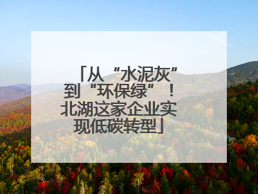从“水泥灰”到“环保绿”！北湖这家企业实现低碳转型