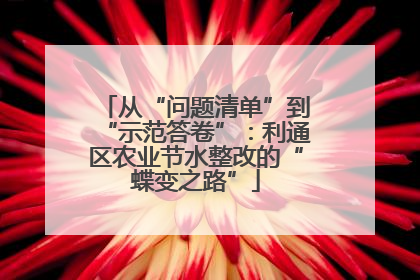 从“问题清单”到“示范答卷”：利通区农业节水整改的“蝶变之路”