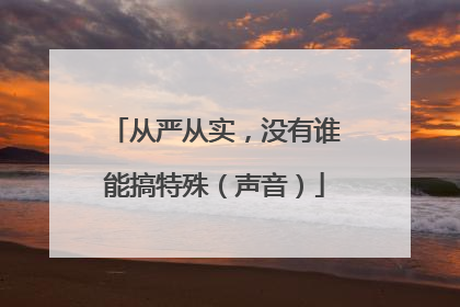从严从实，没有谁能搞特殊（声音）