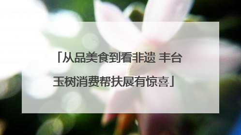 从品美食到看非遗 丰台玉树消费帮扶展有惊喜