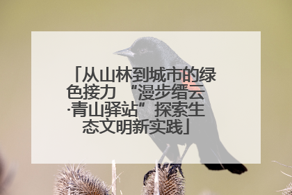 从山林到城市的绿色接力 “漫步缙云·青山驿站”探索生态文明新实践