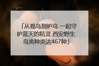 从观鸟到护鸟 一起守护蓝天的精灵 西安野生鸟类种类达467种
