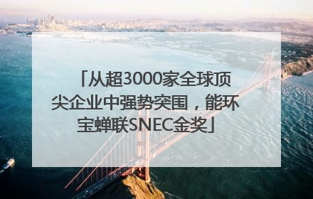 从超3000家全球顶尖企业中强势突围，能环宝蝉联SNEC金奖