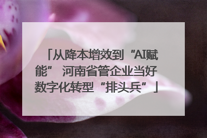 从降本增效到“AI赋能” 河南省管企业当好数字化转型“排头兵”