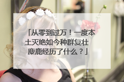 从零到过万！一度本土灭绝如今种群复壮 麋鹿经历了什么？