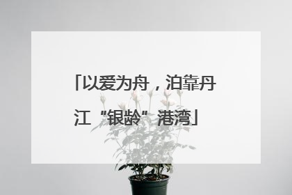 以爱为舟，泊靠丹江“银龄”港湾