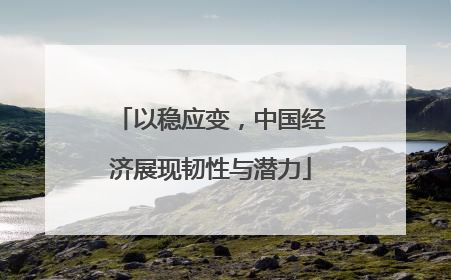 以稳应变，中国经济展现韧性与潜力