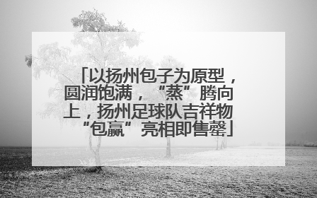 以扬州包子为原型，圆润饱满，“蒸”腾向上，扬州足球队吉祥物“包赢”亮相即售罄