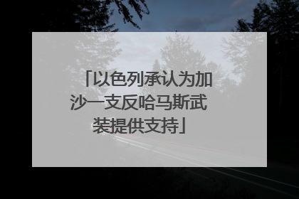 以色列承认为加沙一支反哈马斯武装提供支持