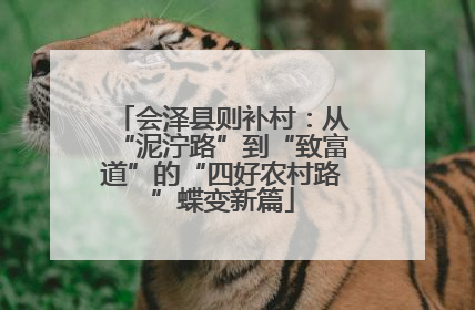 会泽县则补村：从“泥泞路”到“致富道”的“四好农村路”蝶变新篇